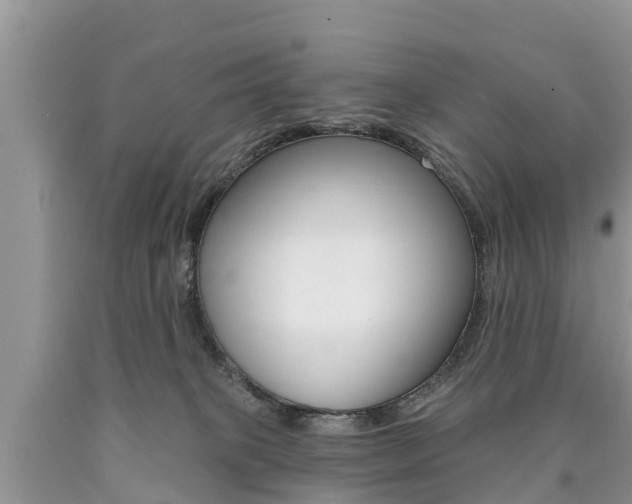 X0000090710085200707201001