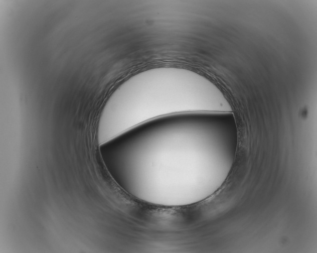 X0000090710086200707201001