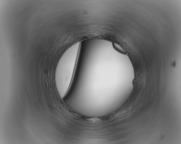 X0000090710087200707201001