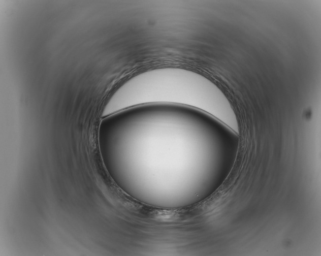 X0000090710088200707201001