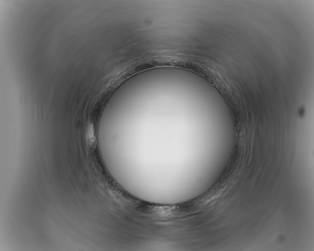 X0000090710089200707201001