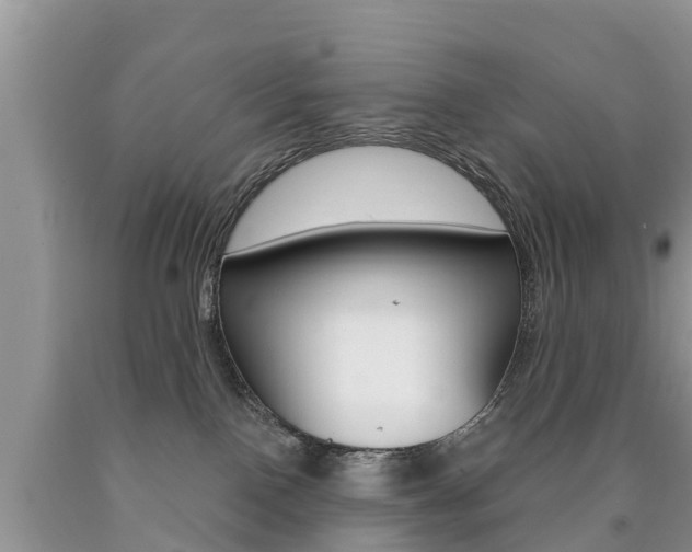 X0000090710090200707201001