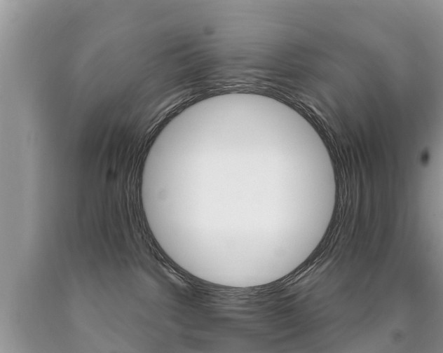 X0000090710092200707201001