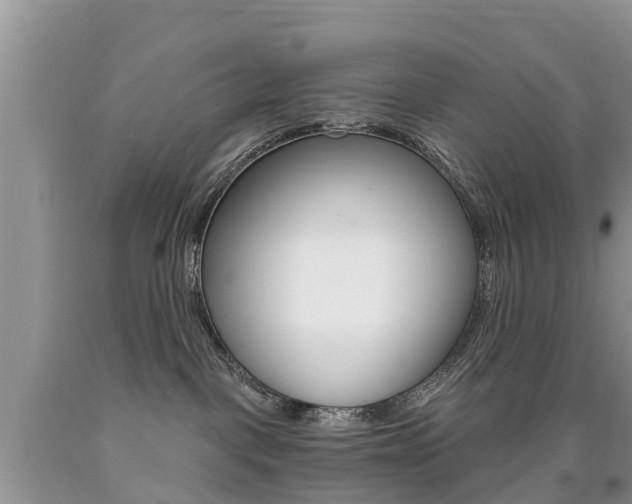 X0000090710093200707201001