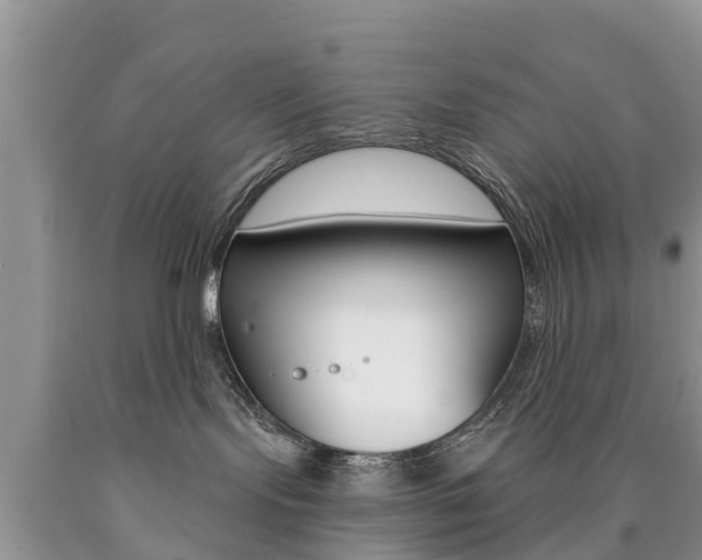 X0000090710095200707201001