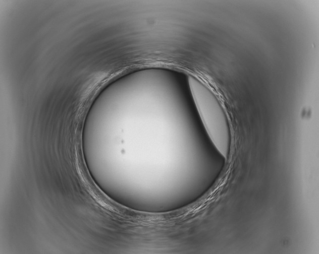 X0000090710097200707201001