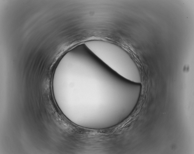 X0000090710098200707201000