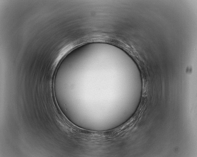 X0000090710099200707201000