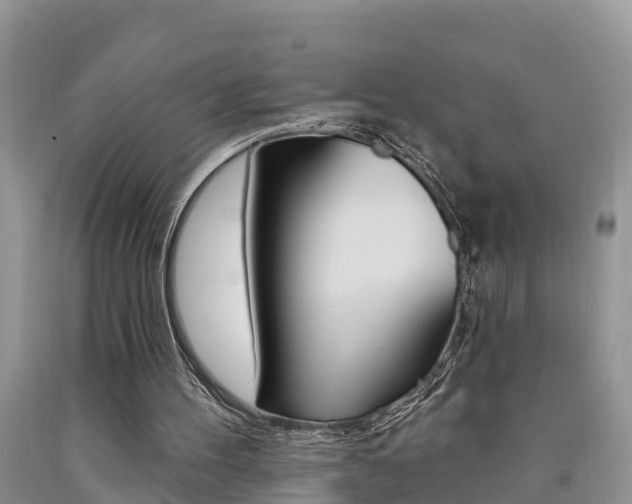 X0000090710100200707201000