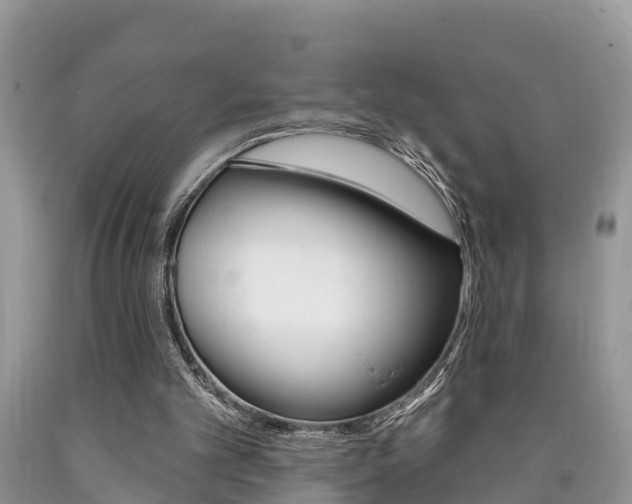 X0000090710101200707201000