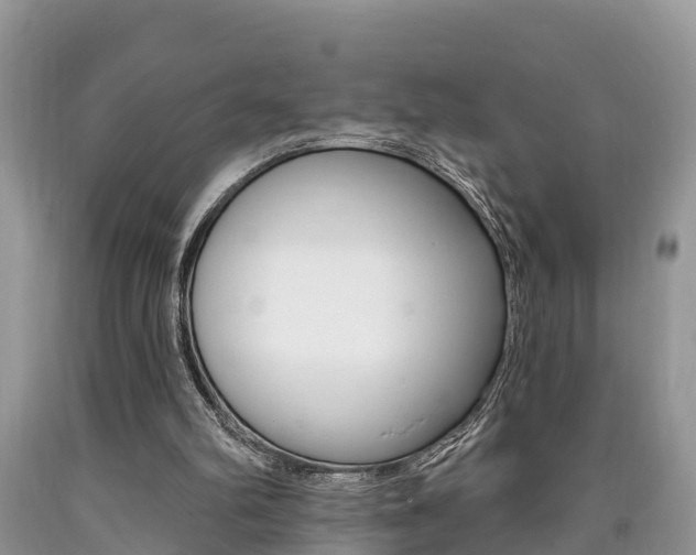 X0000090710102200707201000