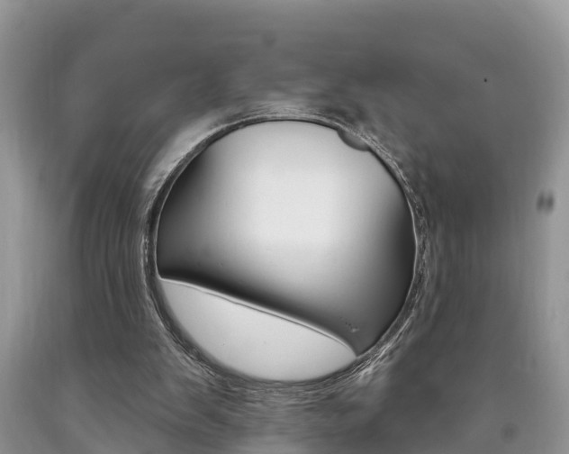 X0000090710103200707201000