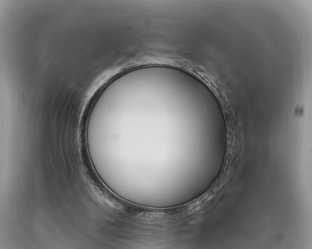 X0000090710104200707201000