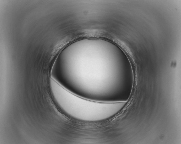 X0000090710105200707201000