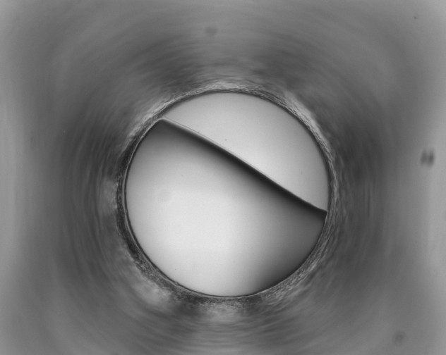 X0000090710106200707201000