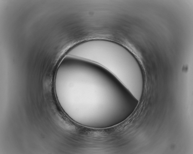 X0000090710107200707201000