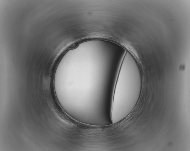 X0000090710108200707201000