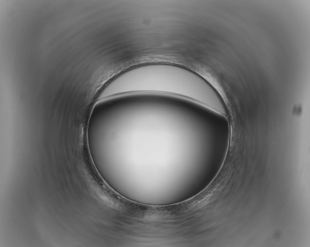 X0000090710109200707201000