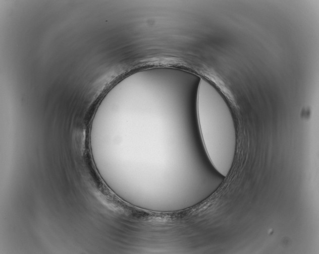 X0000090710110200707201000