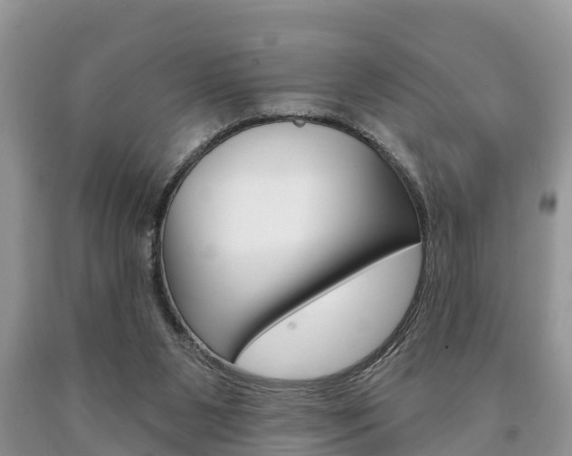 X0000090710111200707201000