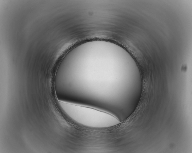 X0000090710112200707201000