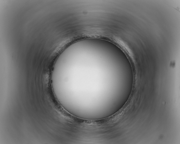 X0000090710113200707201000