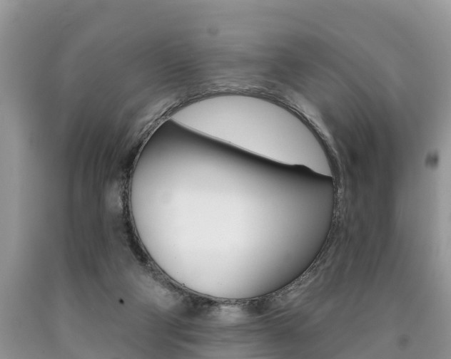 X0000090710114200707201000