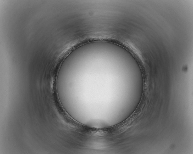 X0000090710115200707201000