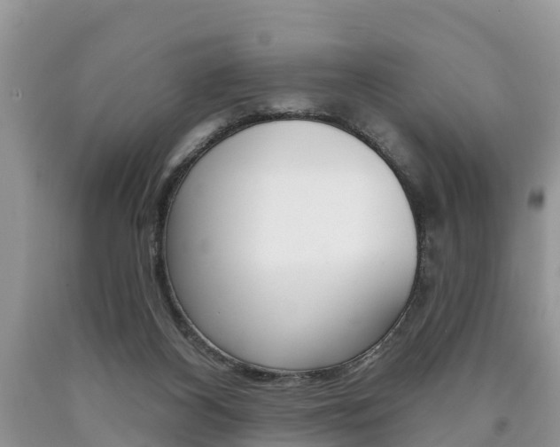 X0000090710116200707201000