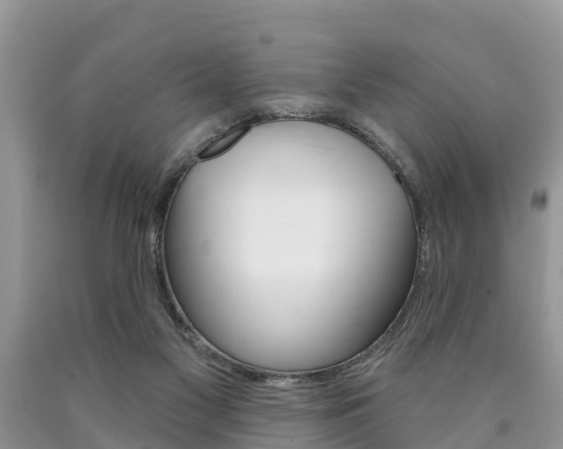 X0000090710117200707201000