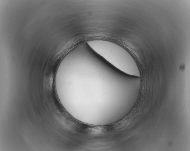 X0000090710118200707201000