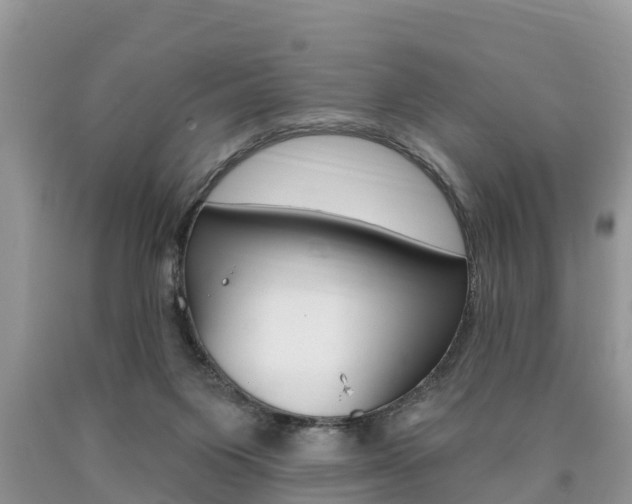 X0000090710119200707201000