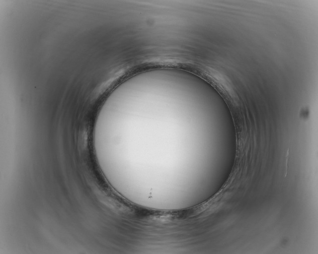 X0000090710120200707201000