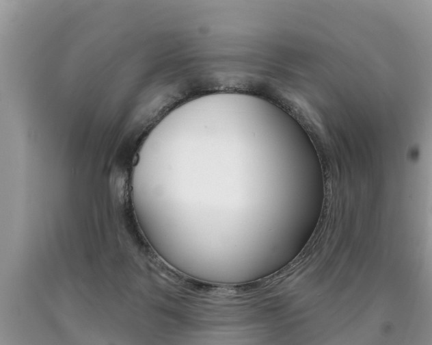 X0000090710123200707201000