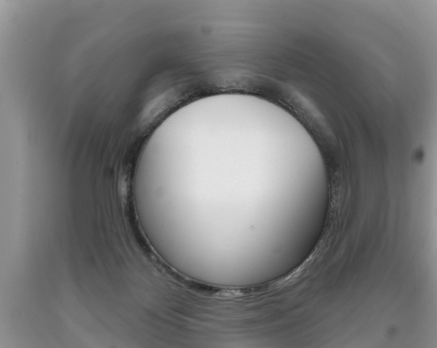 X0000090710124200707201000