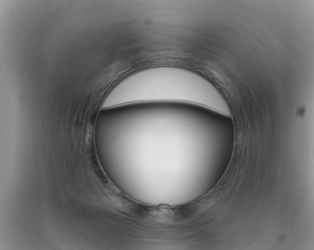 X0000090710125200707201000