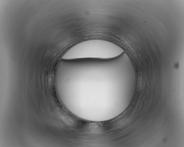 X0000090710126200707201000