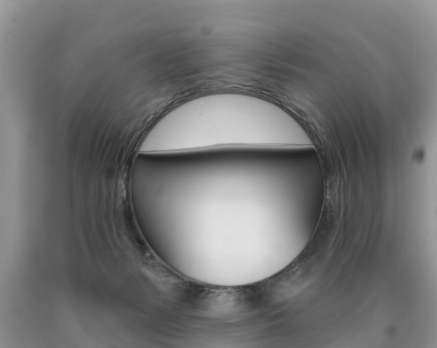 X0000090710127200707201000