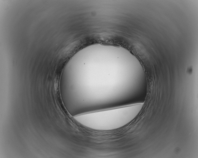 X0000090710129200707201000