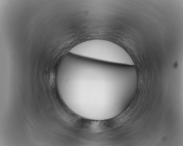 X0000090710130200707201000