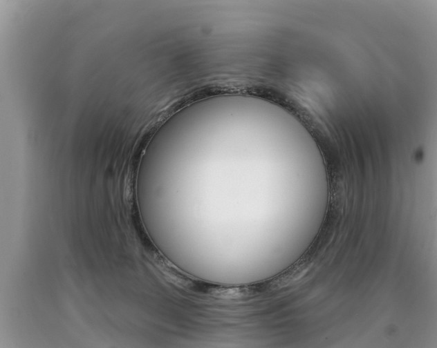 X0000090710131200707201000