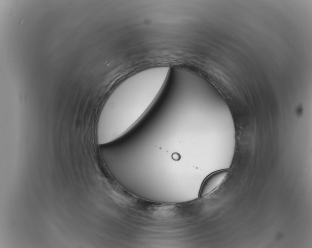 X0000090710132200707201000