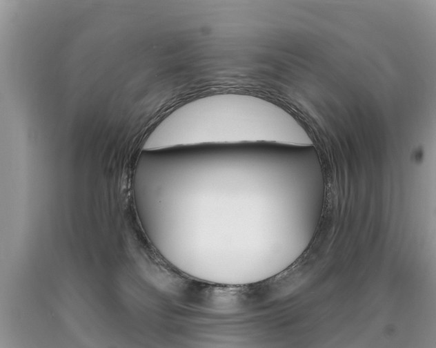 X0000090710134200707201000