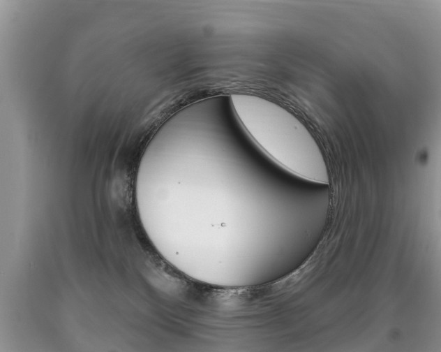 X0000090710136200707201000