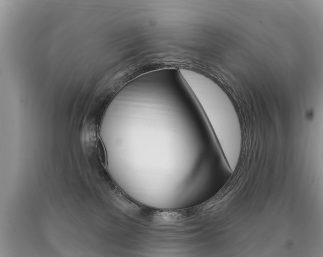 X0000090710137200707201000