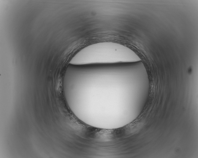 X0000090710138200707201000