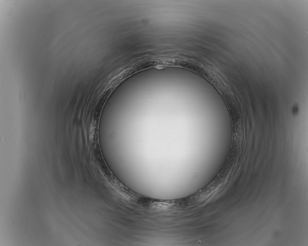 X0000090710139200707201000