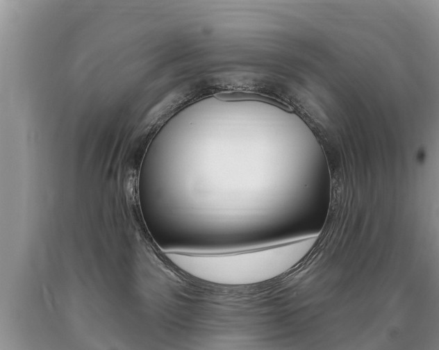 X0000090710141200707201000