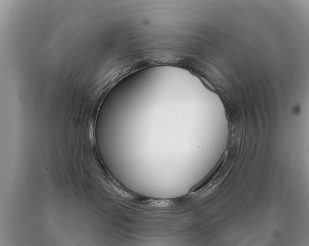 X0000090710143200707201000