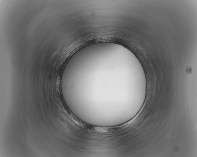 X0000090710144200707201000